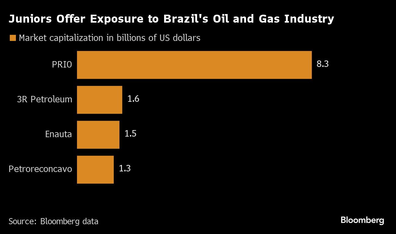 Brazil’s Oil Juniors Hunt for Mergers After Shift at Petrobras