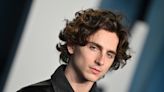 Timothee Chalamet movies to watch (and where to stream them)