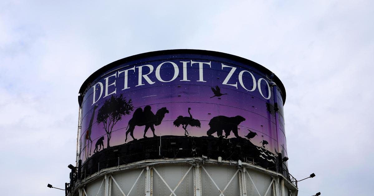 Detroit Zoo teases new water tower design