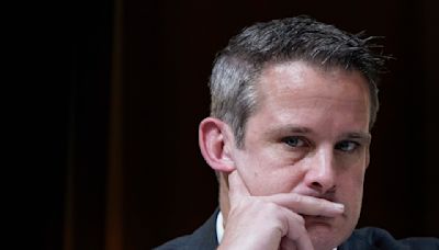 Adam Kinzinger Attacks Trump, Vance in Fox News Column