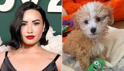 Demi Lovato and Fiancé Jordan 'Jutes' Lutes Share Cute Photos of Their New Dog Pickle