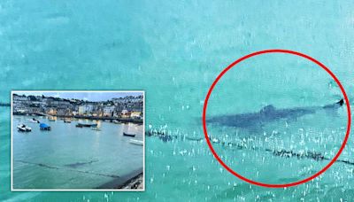 Children run screaming from sea after 10ft shark spotted at Cornwall beach