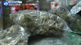 Exclusive: New York City's crackdown on illegal pot shops