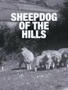 Sheepdog of the Hills