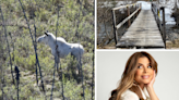 AROUND ALASKA: White Moose, Trail Closed, and Paula Abdul!