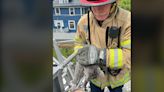 ‘Yes, sometimes we do rescue cats,’ Cedar Rapids firefighters save stuck cat