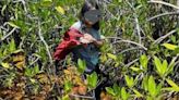 Adolescente extraviada sobrevive una semana en selva de Quintana Roo