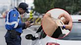 Tatequieto a conductores: revelan con cuántas multas de tránsito le suspenden la licencia