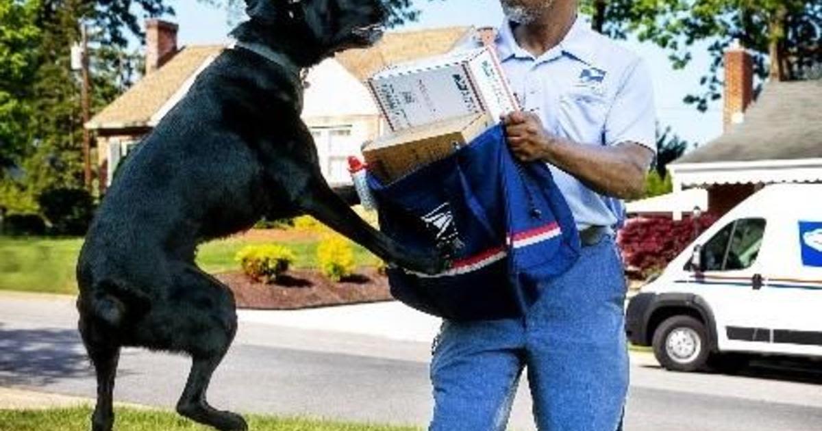 Los Angeles ranks number 1 in dog bites to Postal Service employees