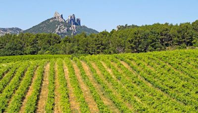 Clash of the titans: The mighty Rhone Valley