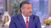 Activistas climáticos irrumpen en entrevista de Ted Cruz en ‘The View’ y Whoopi Goldberg les calla la boca