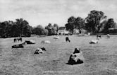 Monken Hadley Common