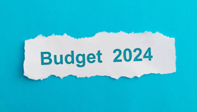 Likely winners and losers from India's upcoming national budget - ET EnergyWorld