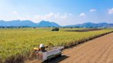 Biocombustibles avanzados a la conquista de las gasolineras