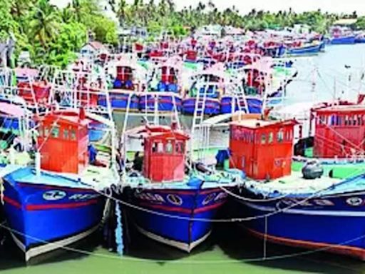 41% increase in threadfin bream catches, says study | Kochi News - Times of India