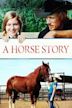 A Horse Story
