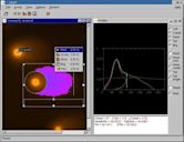 Comet assay