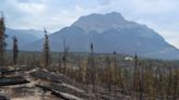 King Charles ‘immensely saddened’ by wildfire destruction in Jasper National Park | Globalnews.ca