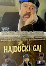 Hajducki gaj