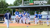 Valwood baseball falls in GIAA 3A State Championship Series