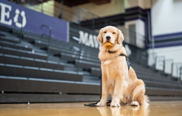 Governor and First Lady Justice welcome new therapy dog at James Monroe High School