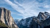 Black bears are also scaling Yosemite's Half Dome: What to do if you meet up