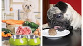 10 Homemade Dog Food Recipes That Are Cheaper Than Kibble
