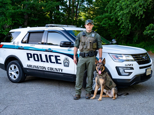 PHOTOS: Arlington County police wishing K-9 officer a ‘relaxing retirement’