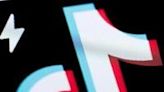 TikTok suspends rewards programme after EU probe