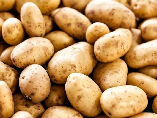 West Bengal to consider lifting ban on potato shipment after price stability in local market