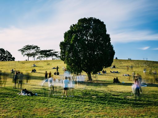 Há sete festivais sobre ecologia, clima e activismo para pôr já na sua agenda