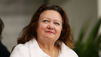 Rinehart Expands Ecuador Push With Stake in Copper-Gold Project
