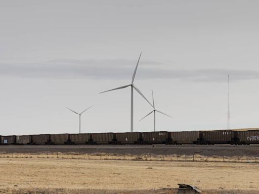 Un primer paso para el nuevo gobierno: enfrentar el cambio climático con la emisión de bonos verdes