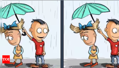 Optical illusion: Test your visual acuity and spot the 5 differences in this rainy-day image - Times of India