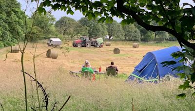 English campsite in a secret walled garden is next to UK's best beach