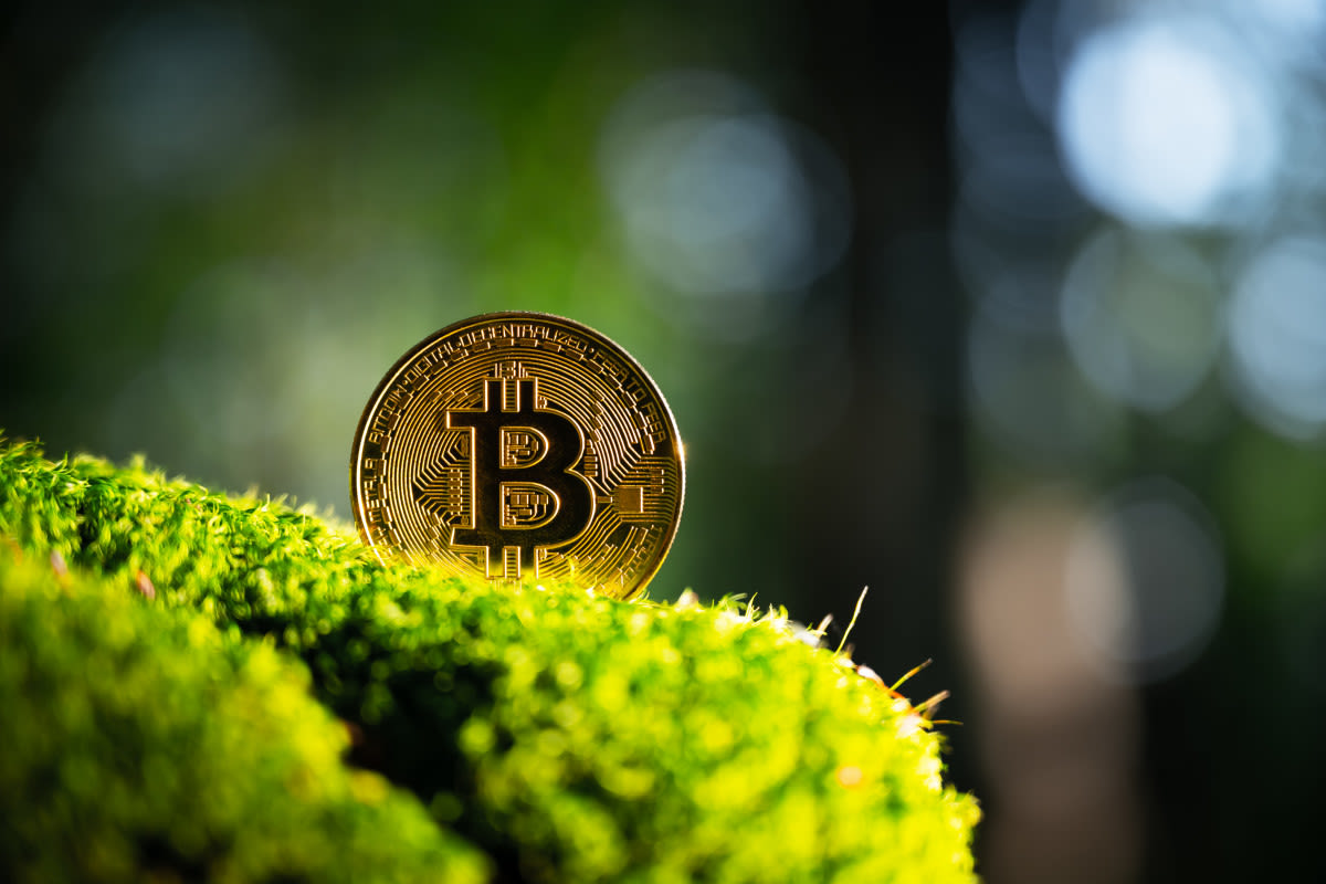 Why bitcoin is key to the future of finance and renewable energy