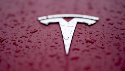 Tesla cars for first time on Chinese govt purchase list - ET BrandEquity