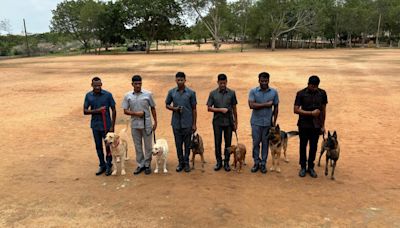 From puppies to protectors: Journey of canine cadet in Telangana’s IITA