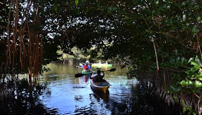 Free admission to Florida state parks? Tax free concert tickets? What you need to know