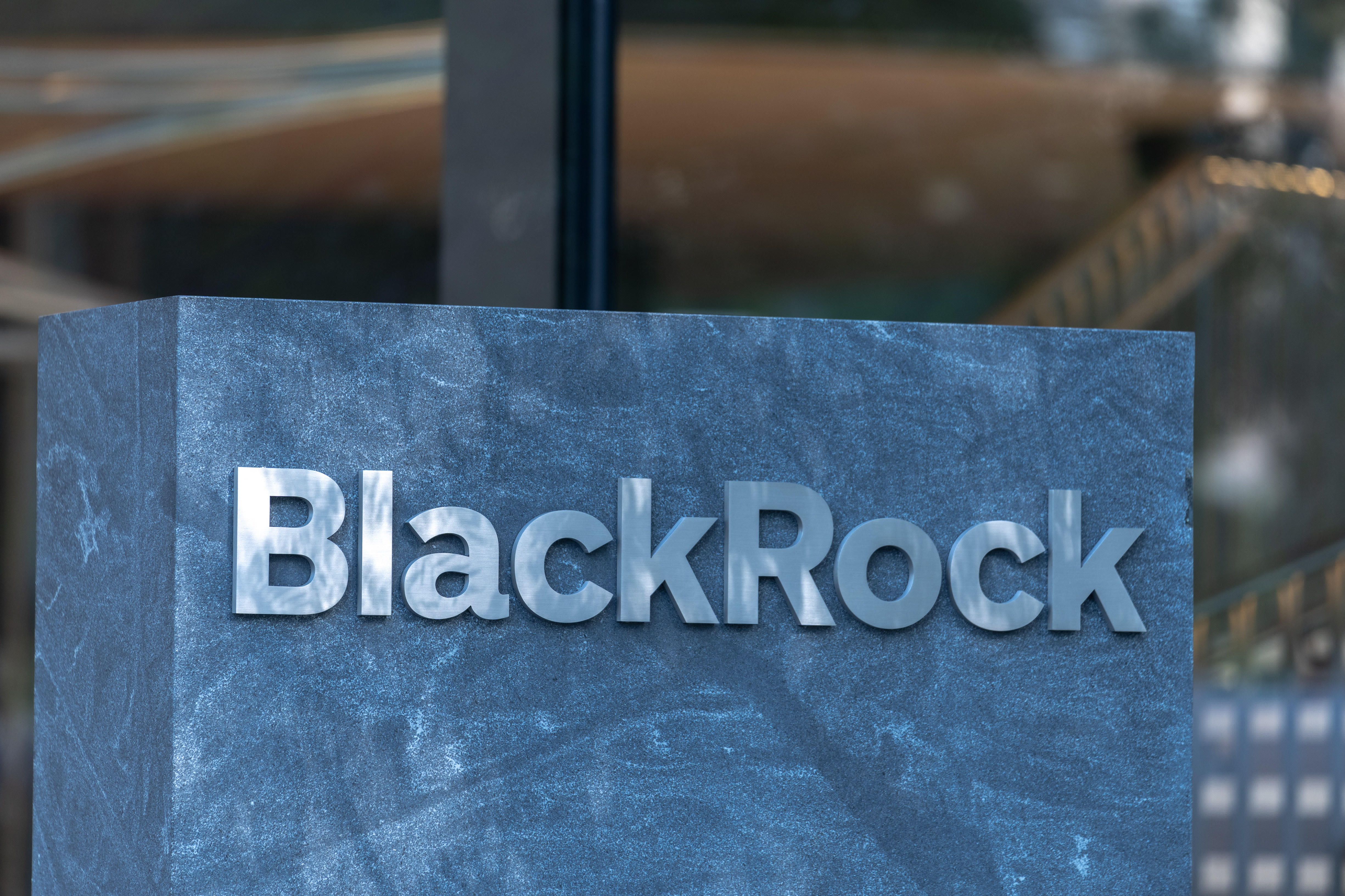BlackRock says Thomas Matthew Crooks appeared in company ad