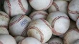 College baseball roundup: NC State, Clemson, Virginia and Florida State advance to Super Regional - Salisbury Post