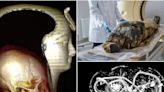 11 ways new technology changed the way we think about ancient Egyptian mummies