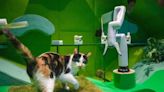 Cats playing with robots proves a winning combo in novel art installation