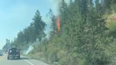 Dry forests 'very receptive to ignition': B.C. Wildfire Service | CBC News