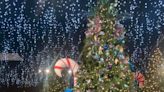 Robert’s Christmas Wonderland: A Festive Treasure in Tampa Bay