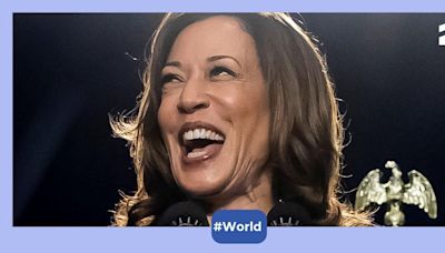 From coconut trees to venn diagrams: All of Kamala Harris's viral moments that have made her the meme queen!