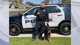 Covina police officer in ICU, K9 recovering after police chase ends in crash