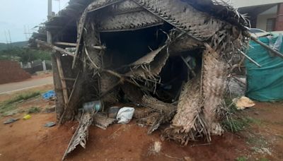 Narrow escape for construction workers as elephants damage their shed near Coimbatore