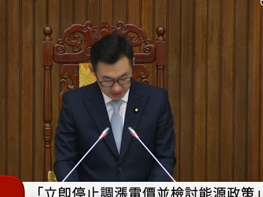 擋下國民黨「電價凍漲」提案 綠今拉下協商冷凍1個月