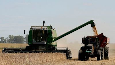 Pronóstico de La Niña más débil es "buena noticia" para soja y maíz de Argentina